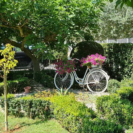 Apartment Bozena Forko Zaton Nin