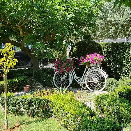 Apartment Bozena Forko Zaton Nin